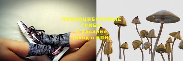 спиды Алексеевка