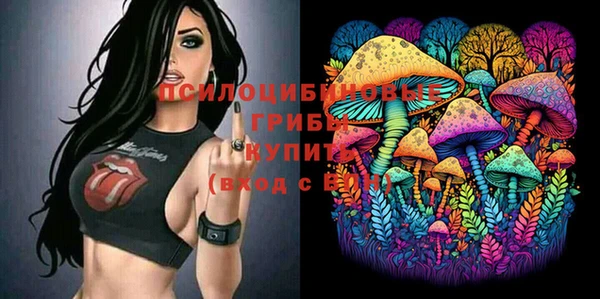 прущая мука Алексин