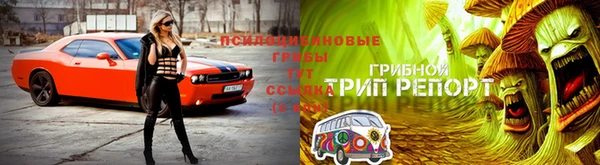 спиды Алексеевка