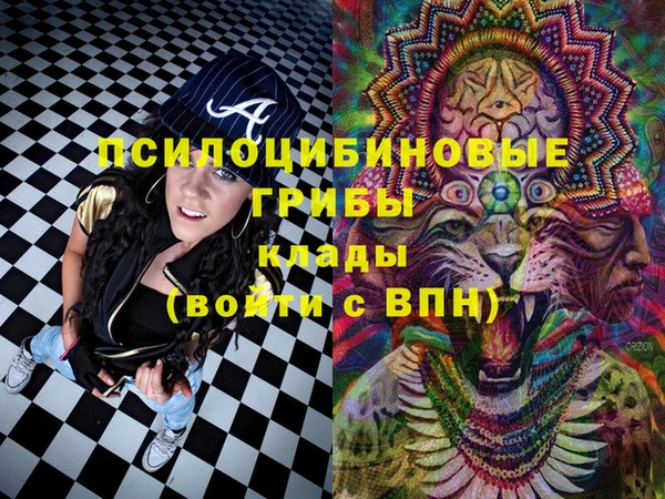прущая мука Алзамай
