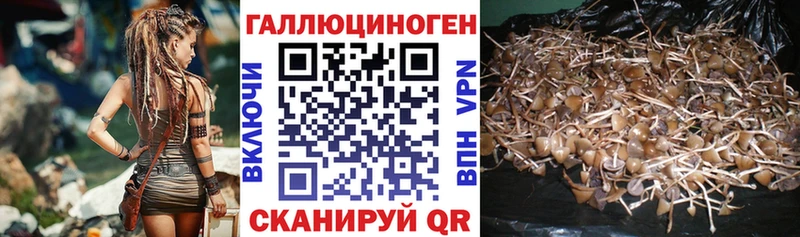 МЕГА сайт Новоульяновск Псилоцибиновые грибы ЛСД